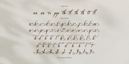 Finytaels Font Poster 12