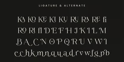 Qedrio Font Poster 6