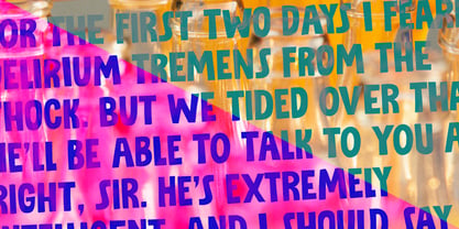 Ziboulateur Pro Font Poster 6