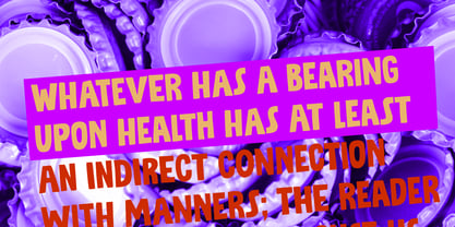 Ziboulateur Pro Font Poster 4