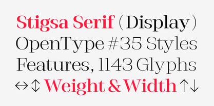 Stigsa Display Font Poster 6