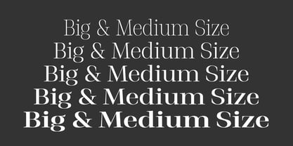 Stigsa Display Font Poster 8