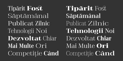 Stigsa Display Font Poster 13