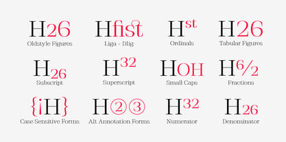 Stigsa Display Font Poster 4