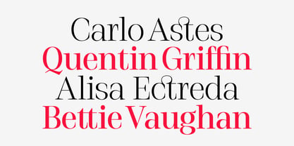 Stigsa Display Font Poster 3