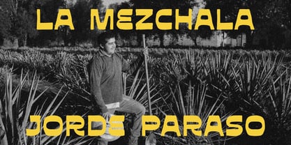 Mezicola Font Poster 7