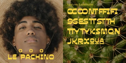 Mezicola Font Poster 2