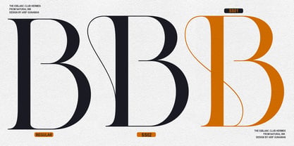 The Eiblanc Club Hermese Font Poster 10