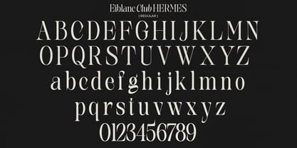 The Eiblanc Club Hermese Font Poster 15