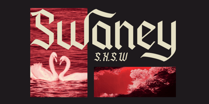 Panderly Font Poster 9