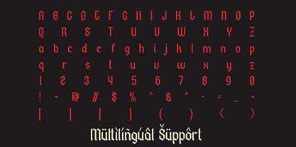 Panderly Font Poster 11