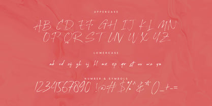 Zhavier Font Poster 15