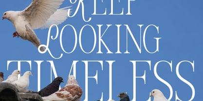 Yolane Font Poster 8
