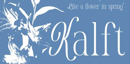 Yolane Font Poster 4