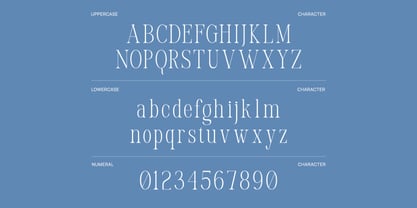 Yolane Font Poster 2