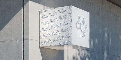 Yolane Font Poster 11
