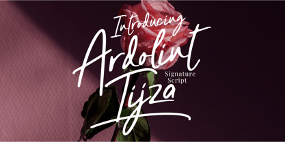 Ardolint Tijza Font Poster 1