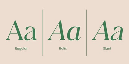 Andrise Font Poster 9