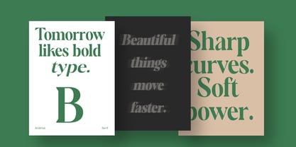 Andrise Font Poster 10