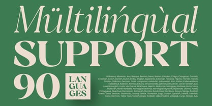 Andrise Font Poster 12