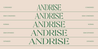 Andrise Font Poster 7