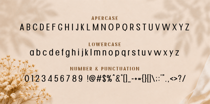 Mogab Font Poster 5