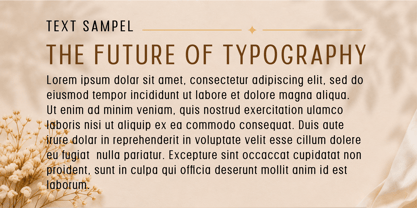 Mogab Font Poster 4