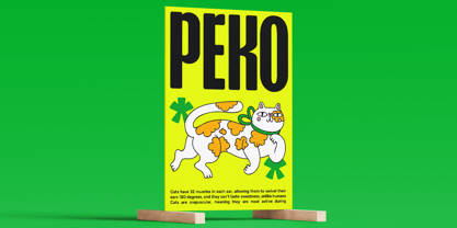 Jairo Font Poster 13