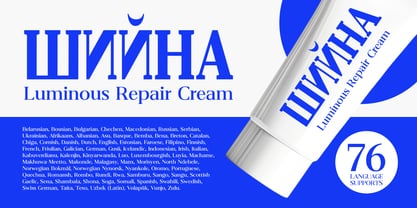 Belvoria Serif Font Poster 11