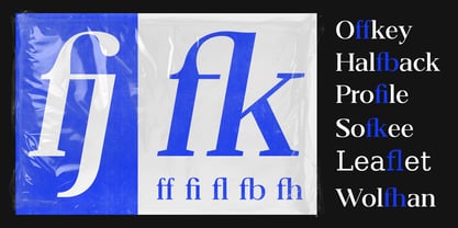 Belvoria Serif Font Poster 14