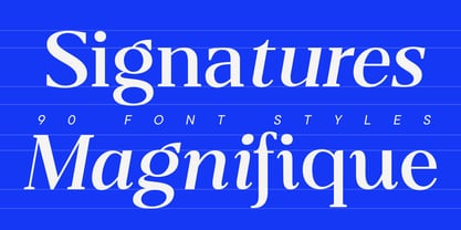 Belvoria Serif Font Poster 9