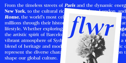 Belvoria Serif Font Poster 10
