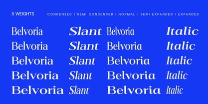 Belvoria Serif Font Poster 4