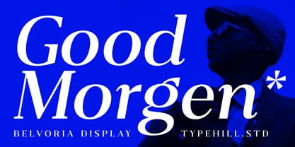 Belvoria Serif Font Poster 13