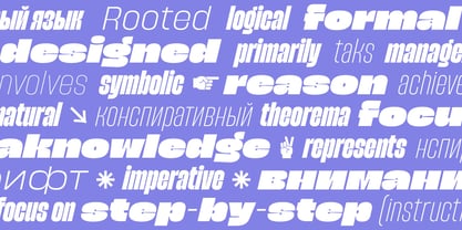Spanik Variable Font Poster 8