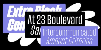 Spanik Variable Font Poster 11