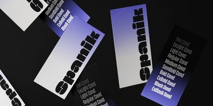 Spanik Variable Font Poster 9