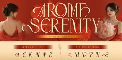 Arosne Font Poster 7