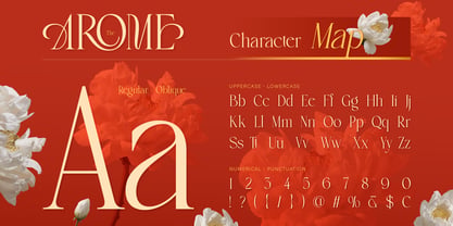 Arosne Font Poster 2