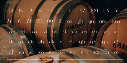 Putdies Font Poster 2