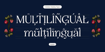 Selukar Font Poster 12