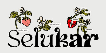Selukar Font Poster 1
