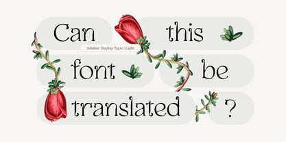 Selukar Font Poster 4