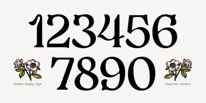 Selukar Font Poster 10