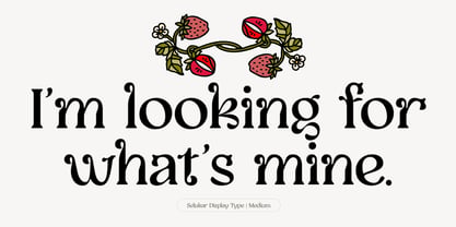 Selukar Font Poster 8