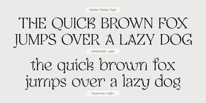 Selukar Font Poster 13