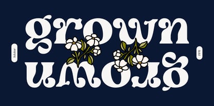 Selukar Font Poster 5
