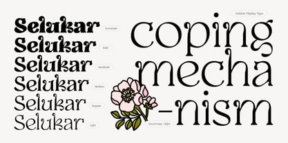 Selukar Font Poster 11