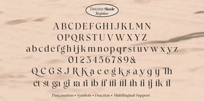 Tuscany Shade Font Poster 14