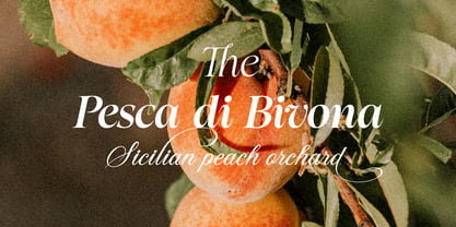 Tuscany Shade Font Poster 8